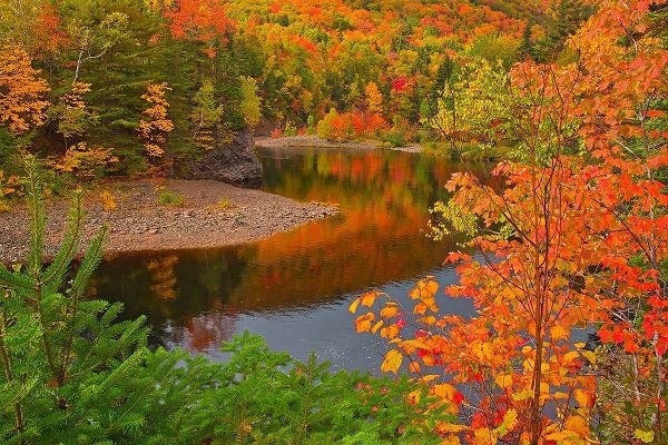 Canada-Nova Scotia Indian Brook and forest in autumn
